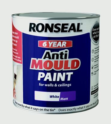 Ronseal-6-Year-Anti-Mould-Paint-25L