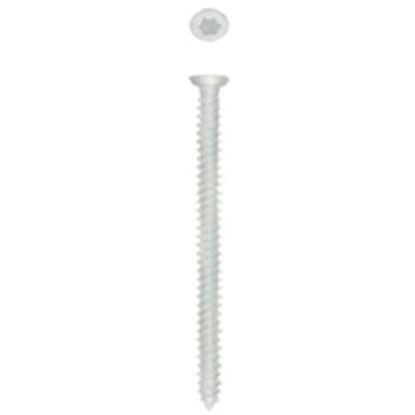 Rawlplug-Frame-Screw-Csk-Zinc-Plated-Pack-30