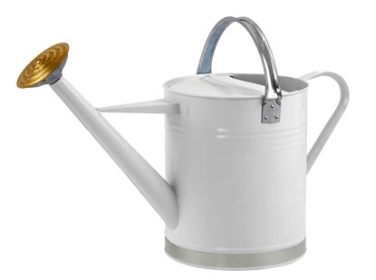 Ambassador-Metal-Watering-Can