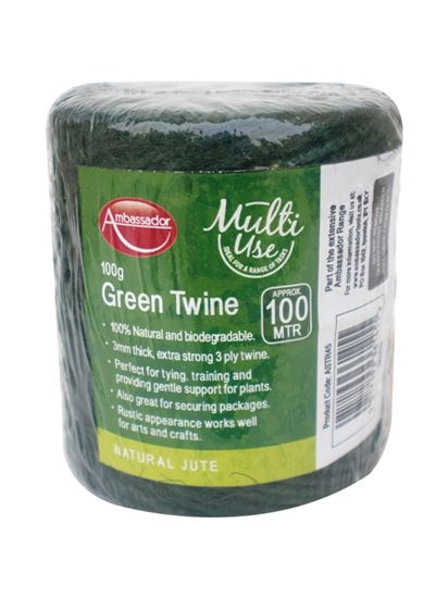 Ambassador-Green-Jute-Twine