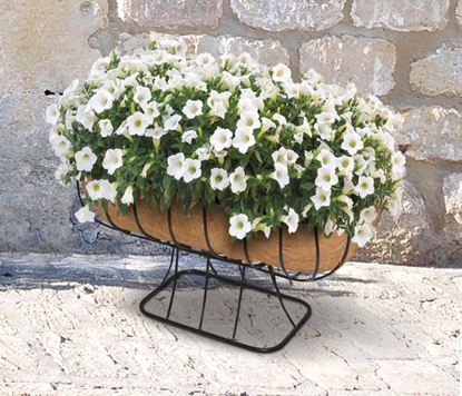 Ambassador-Cradle-Planter--With-Coco-Liner