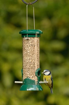 Rspb-Easy-Clean-Seed-Feeder