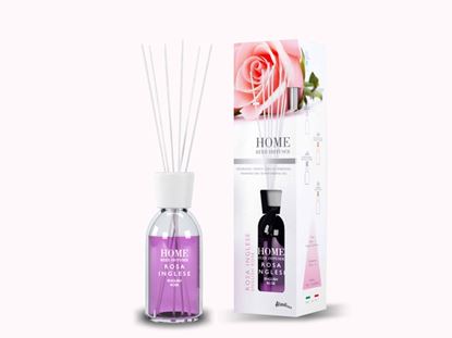 Aladino-Reed-Diffusers