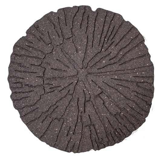 Primeur-Stepping-Stone-Cracked-Log