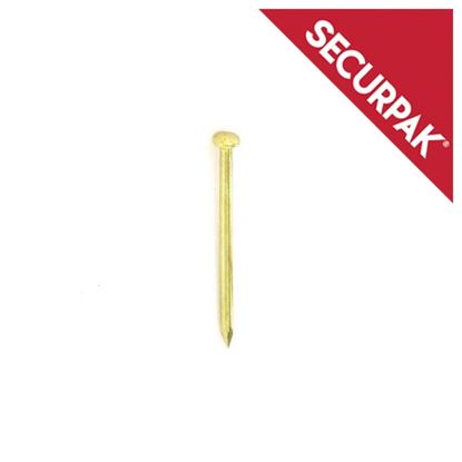 Securpak-Hardened-Picture-Pins-BP