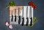 Viners-Assure-Bread-Knife
