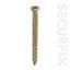 Securfix-Trade-Pack-Concrete-Frame-Screw
