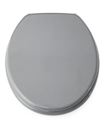 Blue-Canyon-MDF-Toilet-Seat-With-Stainless-Steel-Hinges