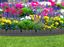 Primeur-Ultra-Curve-Maryland