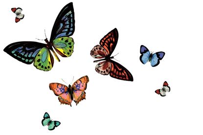 d-c-fix-Rio-Butterfly-Transparent-Wipe-Clean-Placemat