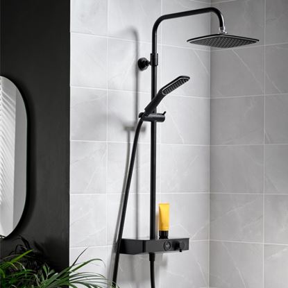 Triton-Push-ButtonThermostatic-Mixer-Shower