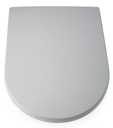 Blue-Canyon-D-Shape-Duroplastic-Soft-Close-Toilet-Seat