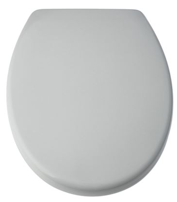 Blue-Canyon-Duroplastic-Soft-Close-Toilet-Seat