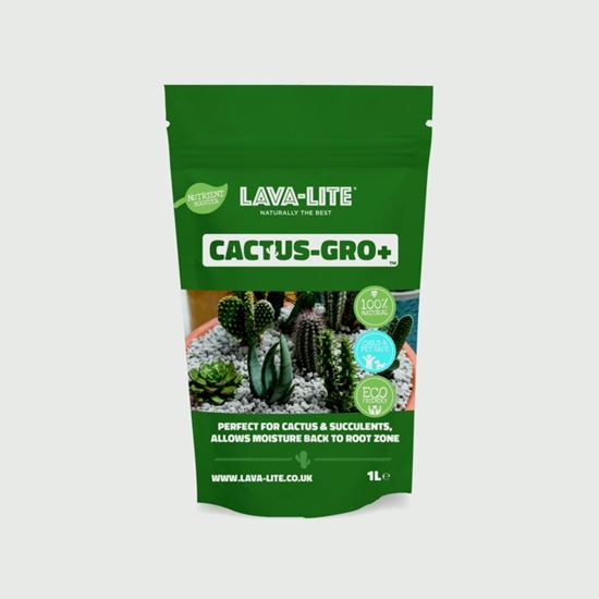 LAVA-LITE-Cactus---Gro