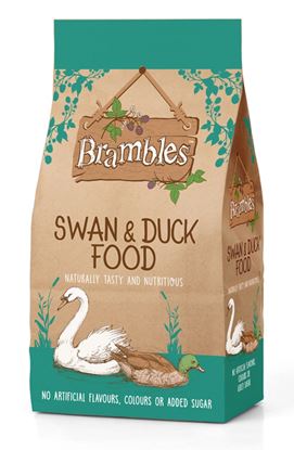 Brambles-Floating-Swan--Duck-Food