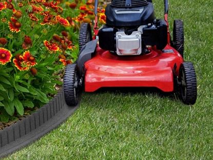 Primeur-EZ-Border-Mower-Edge