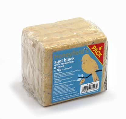 Honeyfields-Suet-Block-with-Mealworm-Pack-4