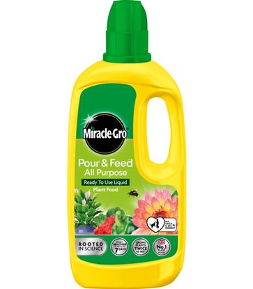 Miracle-Gro-Pour--Feed