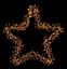 Premier-Gold-Star-Cluster-240-Warm-White-LEDs
