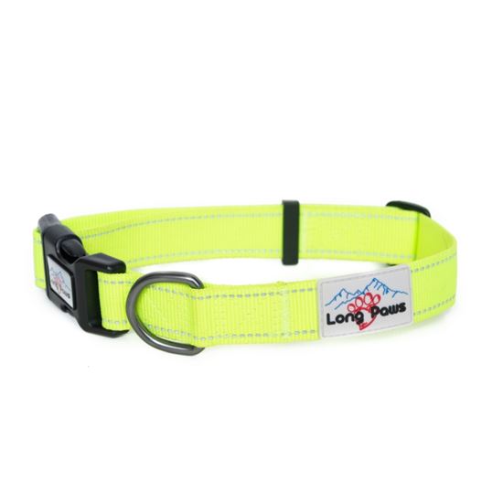 Long-Paws-Urban-Trek-Neon-Yellow-Collar