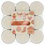 Bolsius-True-Glow-Fragrance-Tealight-Cookie-Fever--Ivory