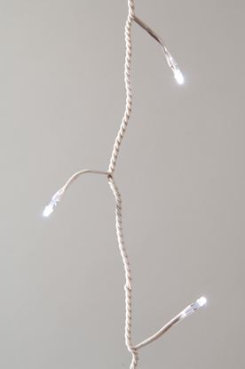 Kaemingk-LED-Outdoor-Twinkle-Lights