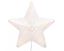 Kaemingk-Outdoor-LED-PVC-Star