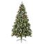 Premier-New-Jersey-Spruce