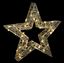 Premier-Lit-Hollow-Star-Silver-Warm-White-LED