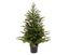 Kaemingk-Grandis-Mini-Tree-In-Pot-Green