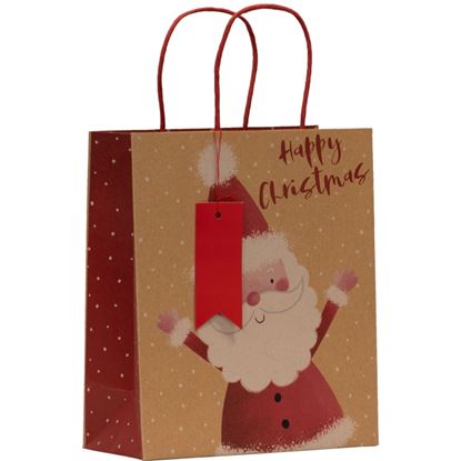 Partisan-Santa-Bag