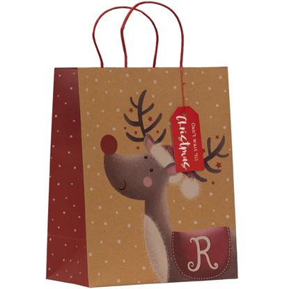 Partisan-Rudolph-Bag