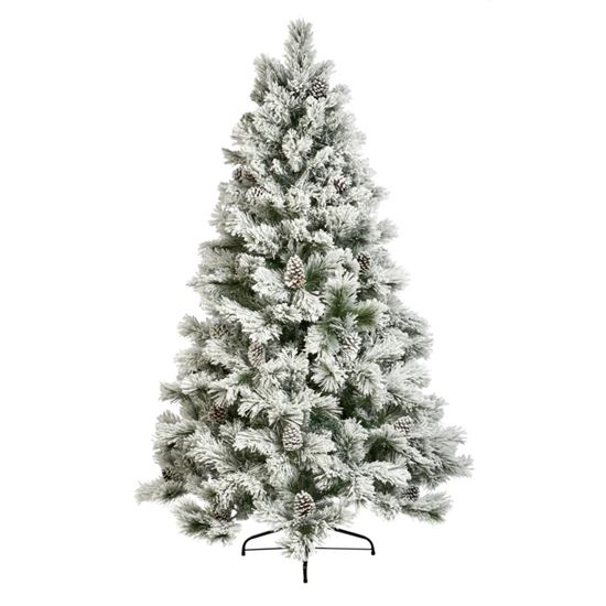 Premier-Lumi-Spruce
