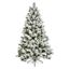 Premier-Lumi-Spruce
