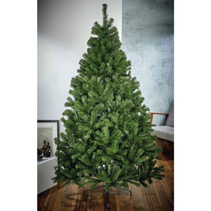 Premier-Geneva-Pine-Tree