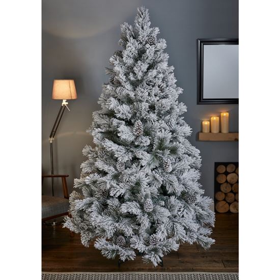Premier-Lumi-Spruce
