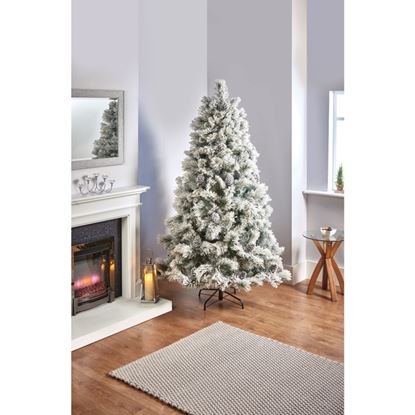 Premier-Lumi-Spruce