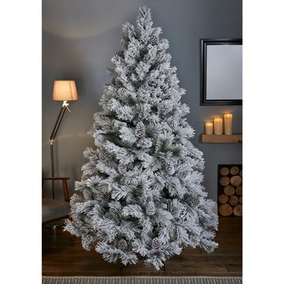 Premier-Lumi-Spruce