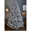 Premier-Lumi-Spruce