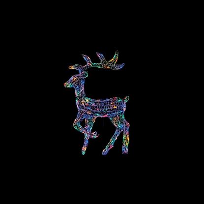 Premier-Multi-Action-2D-Deer-With-120-LEDs