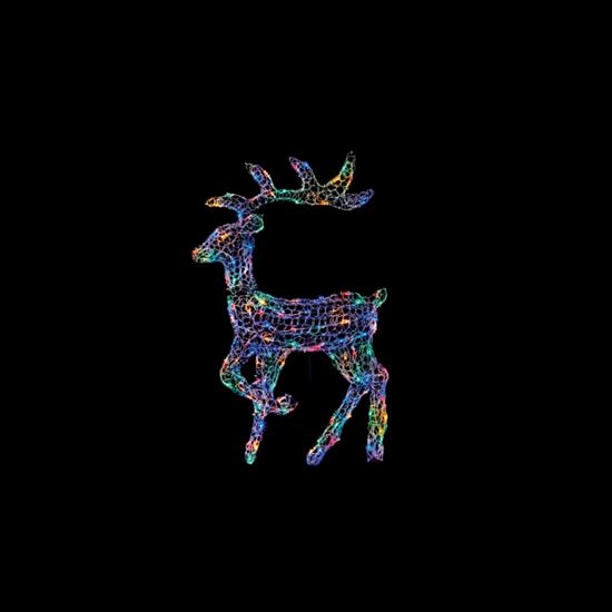 Premier-Multi-Action-2D-Deer-With-120-LEDs