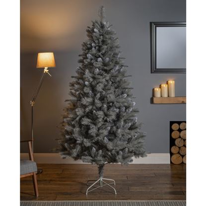 Premier-Deluxe-Silver-Tipped-Fir