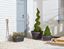 Strata-Extra-Large-Oakwood-Barrel-Planter