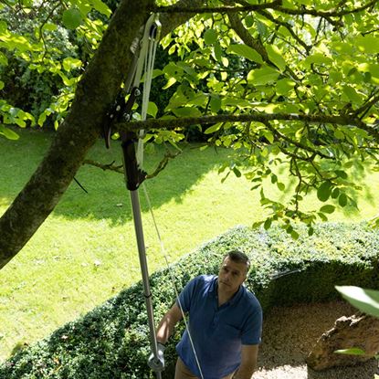 Wilkinson-Sword-Telescopic-Tree-Cutter