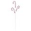 Premier-Red-White-Frosted-Candy-Cane-Stem