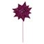 Premier-Plum-Velvet-Poinsettia-WB