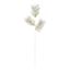 Premier-Champagne-Gold-Bristle-Fern-Stem