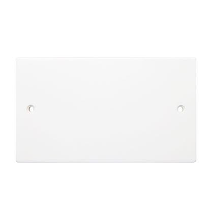 Securlec-2-Gang-Blanking-Plate