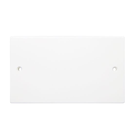 Securlec-2-Gang-Blanking-Plate