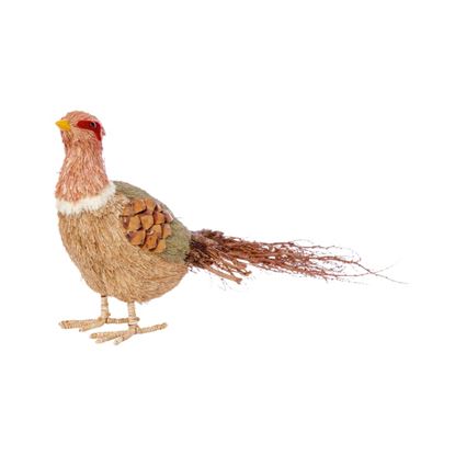 Premier-Pheasant-Looking-Forward